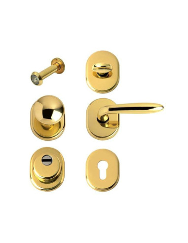 Kit Tondo per Porta Blindata con Defender Ø46 mm Ottone Lucido Maniglie