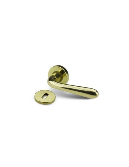 Maniglia Porta Ottone Lucido |  ZB Desy Maniglie